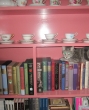 Millie the book loving cat 